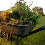 Wheelbarrow filled with weeds, grass, and flowers collected during a garden clean up in Perth.