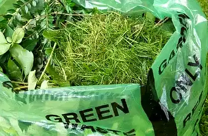 Green waste collection Perth – eco-friendly disposal bag filled with garden grass clippings and leaves.
