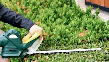 hedge trimming services perth