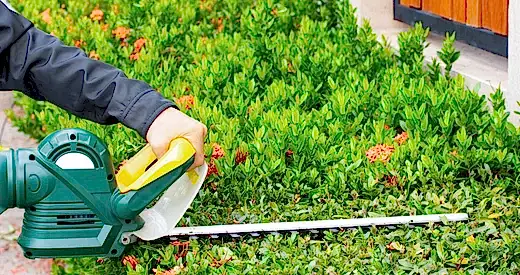 hedge trimming services perth