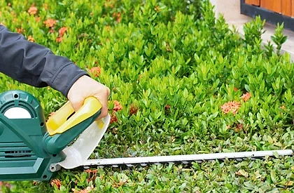 hedge trimming services perth