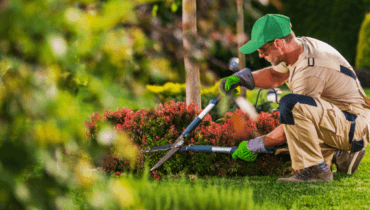 Garden Maintenance