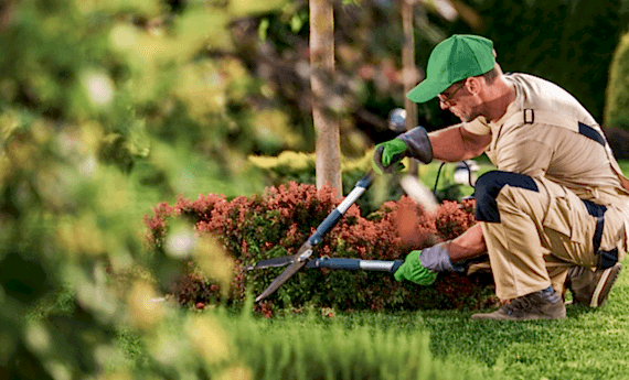 Garden Maintenance