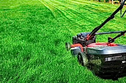 Lawn Mowing Service Perth