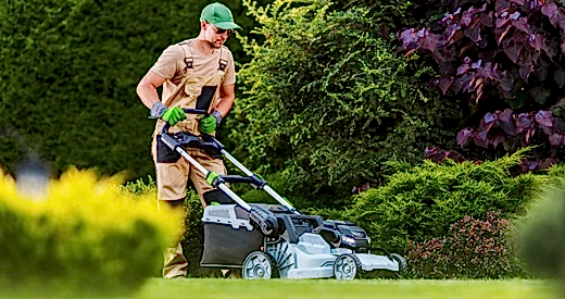 Lawn Mowing Service Perth